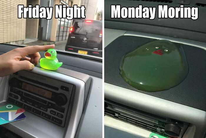 65 Monday Memes To Make Your Monday A Little Less Miserable