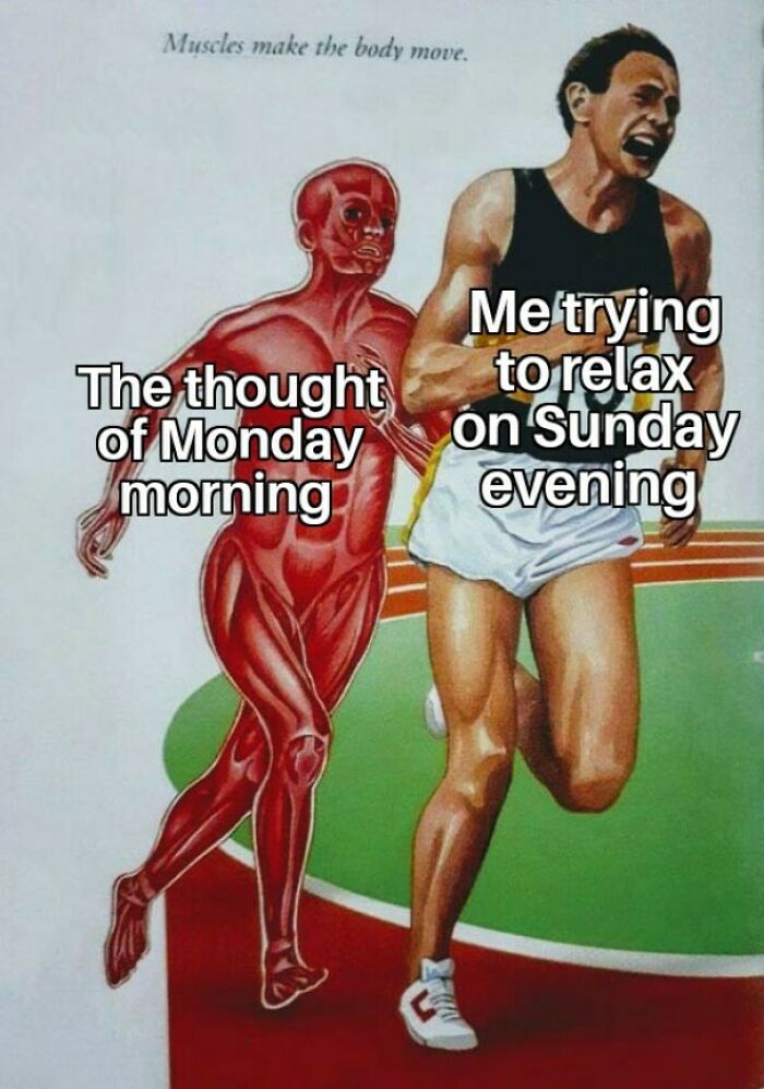 65 Monday Memes To Make Your Monday A Little Less Miserable
