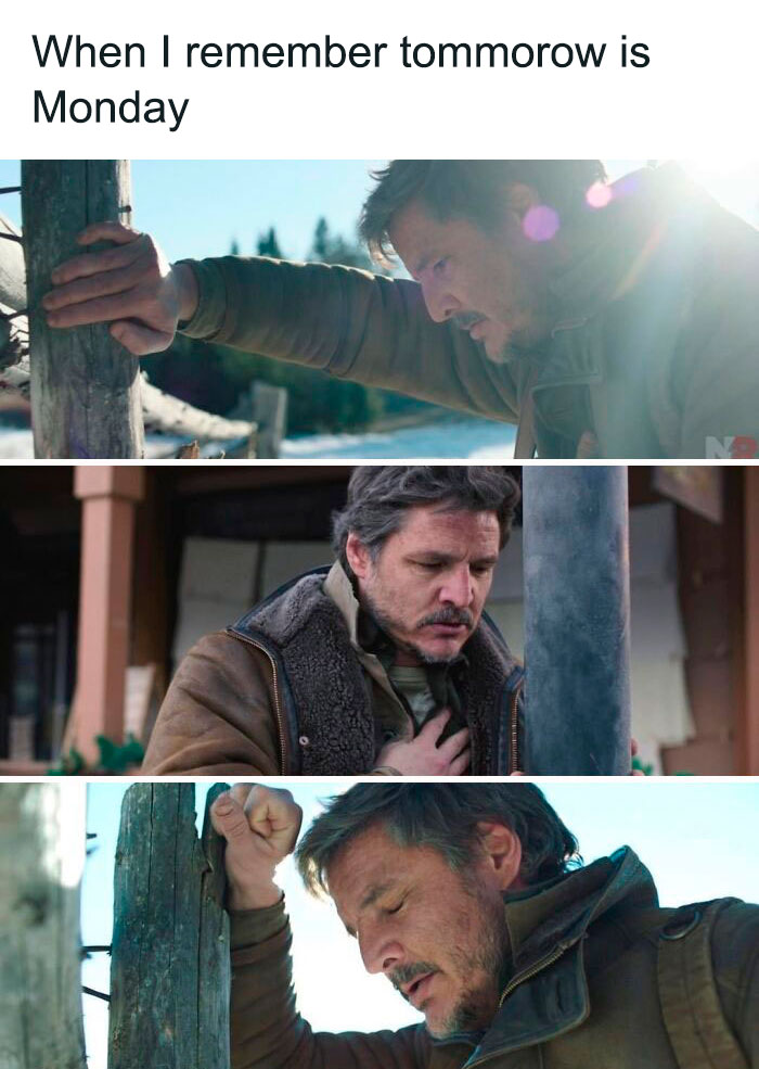 65 Monday Memes To Make Your Monday A Little Less Miserable