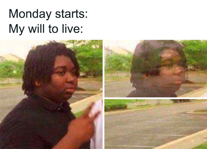 65 Monday Memes To Make Your Monday A Little Less Miserable