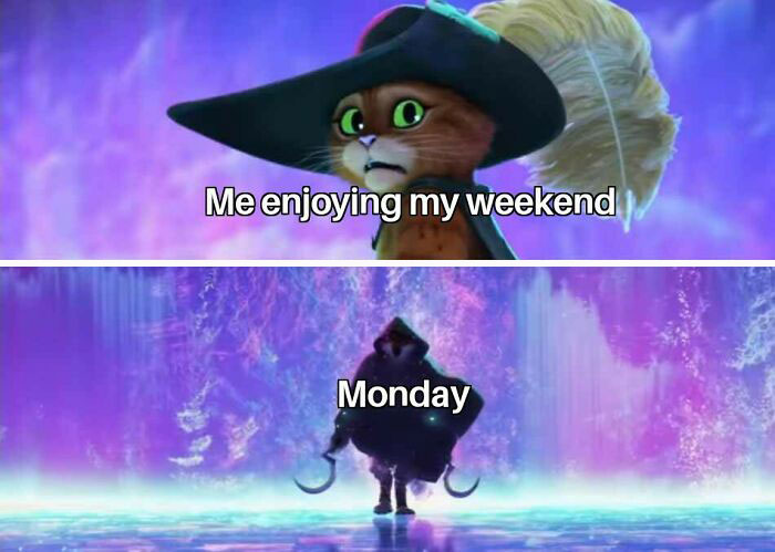 65 Monday Memes To Make Your Monday A Little Less Miserable