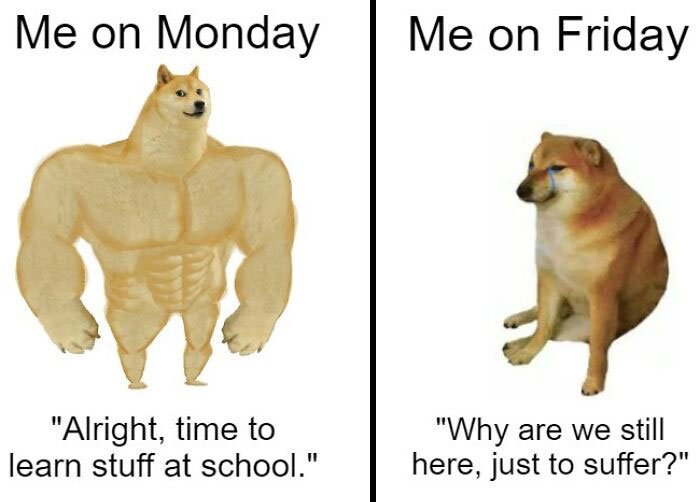 65 Monday Memes To Make Your Monday A Little Less Miserable