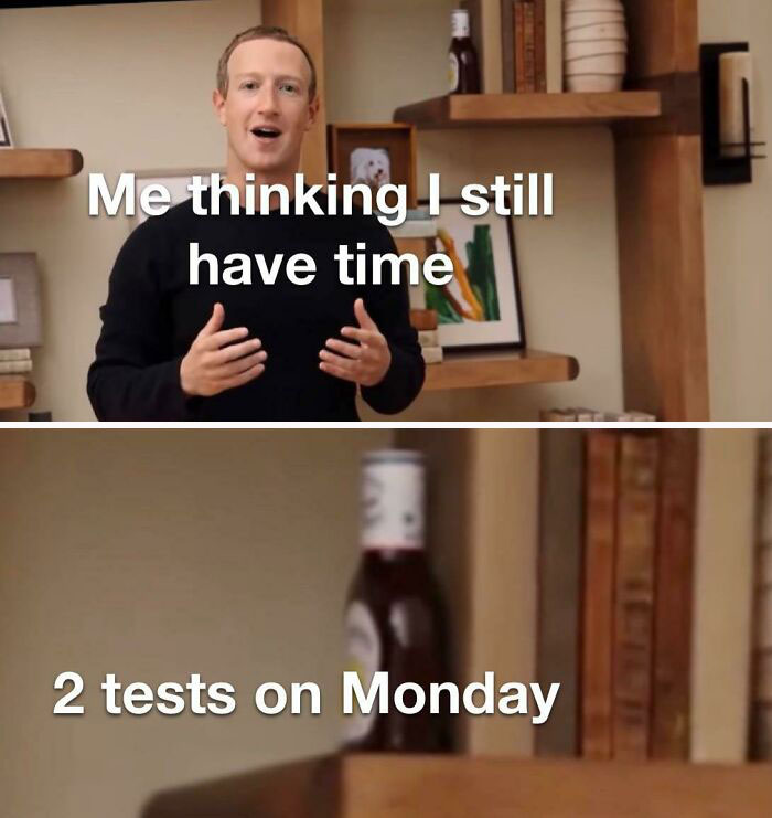 65 Monday Memes To Make Your Monday A Little Less Miserable