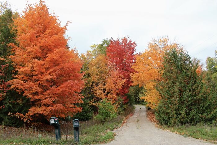 Pictures Of Fall Taken All Around The Waterloo Area (25 Pics) Pictures Of Fall Taken All Around The Waterloo Area (25 Pics)