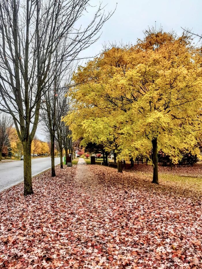 Pictures Of Fall Taken All Around The Waterloo Area (25 Pics) Pictures Of Fall Taken All Around The Waterloo Area (25 Pics)