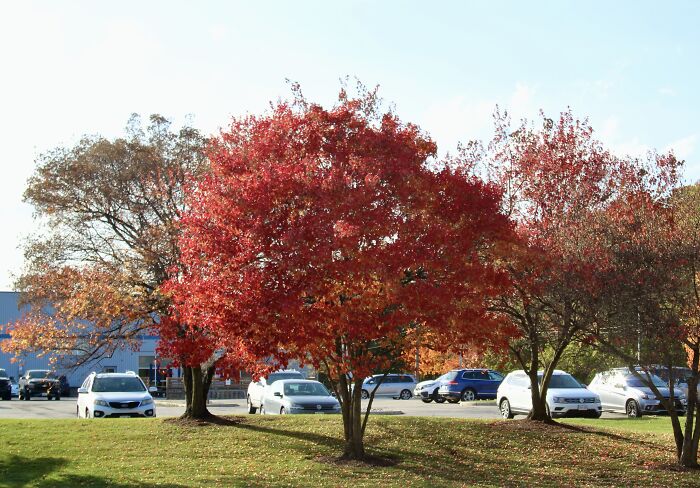 Pictures Of Fall Taken All Around The Waterloo Area (25 Pics) Pictures Of Fall Taken All Around The Waterloo Area (25 Pics)