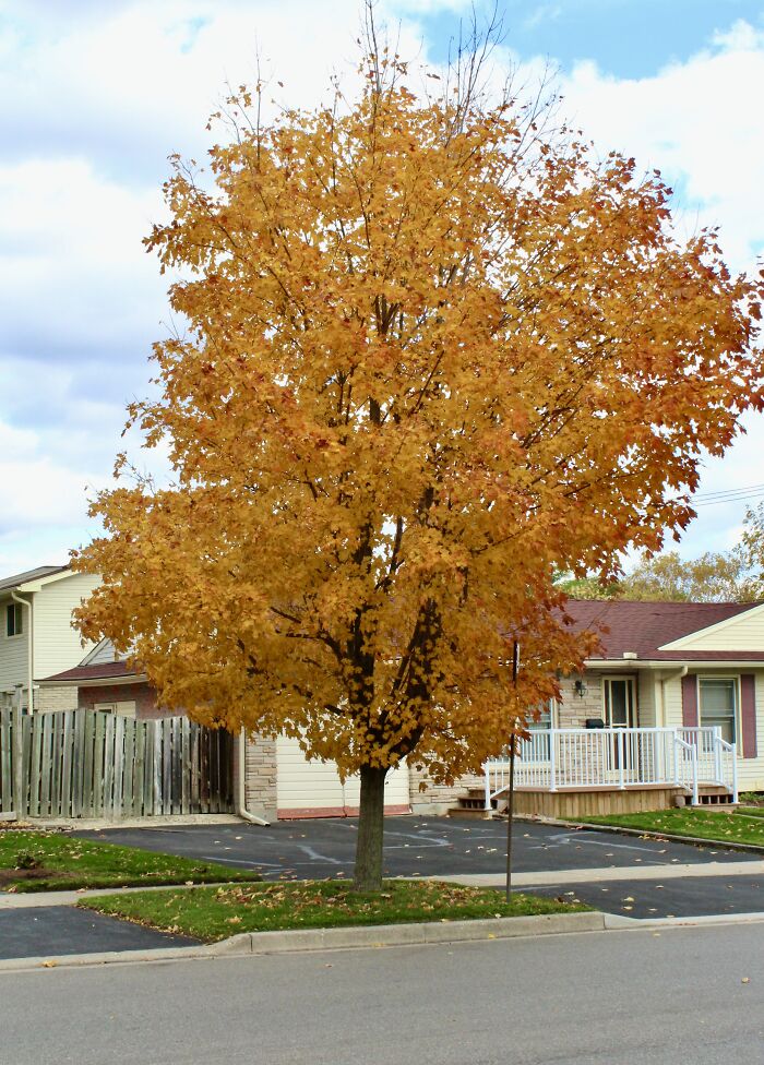 Pictures Of Fall Taken All Around The Waterloo Area (25 Pics) Pictures Of Fall Taken All Around The Waterloo Area (25 Pics)