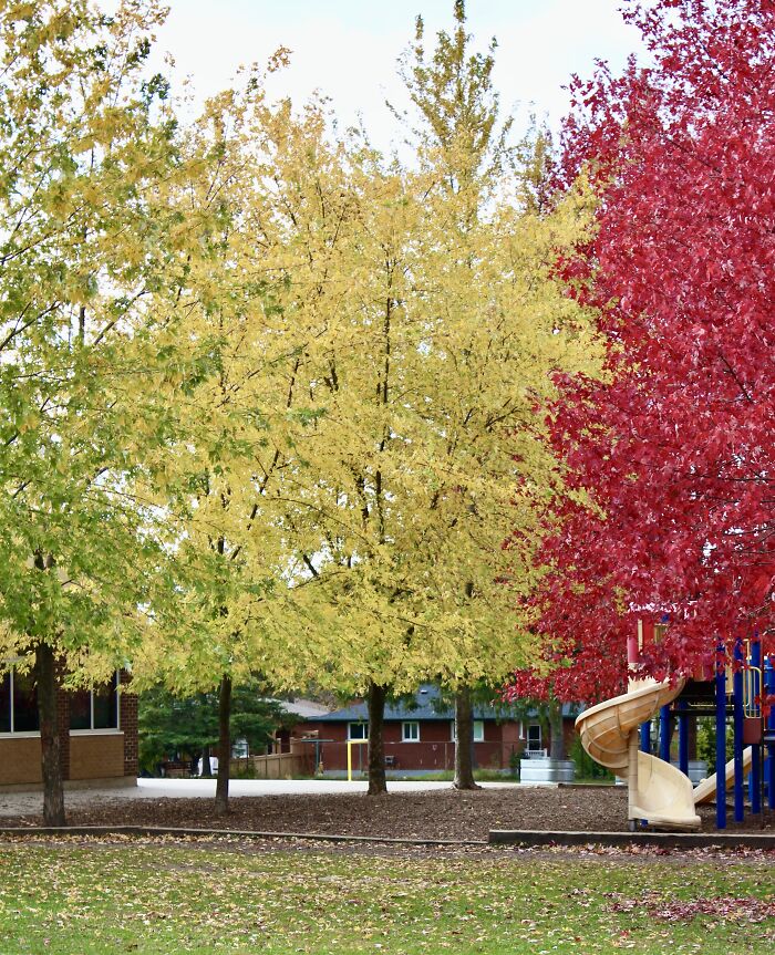 Pictures Of Fall Taken All Around The Waterloo Area (25 Pics) Pictures Of Fall Taken All Around The Waterloo Area (25 Pics)