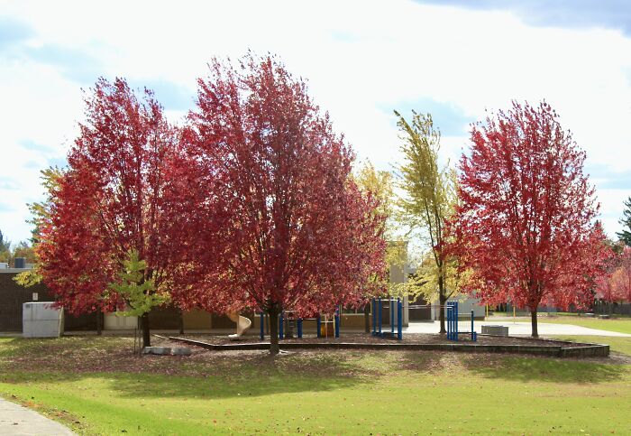 Pictures Of Fall Taken All Around The Waterloo Area (25 Pics) Pictures Of Fall Taken All Around The Waterloo Area (25 Pics)