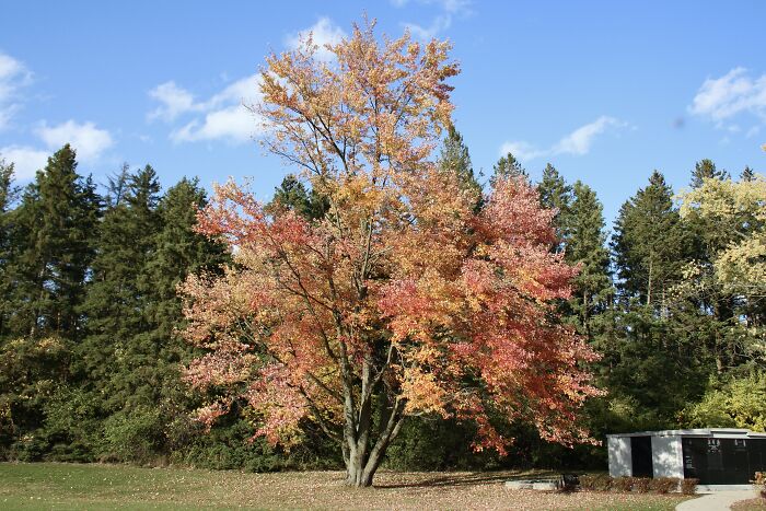 Pictures Of Fall Taken All Around The Waterloo Area (25 Pics) Pictures Of Fall Taken All Around The Waterloo Area (25 Pics)