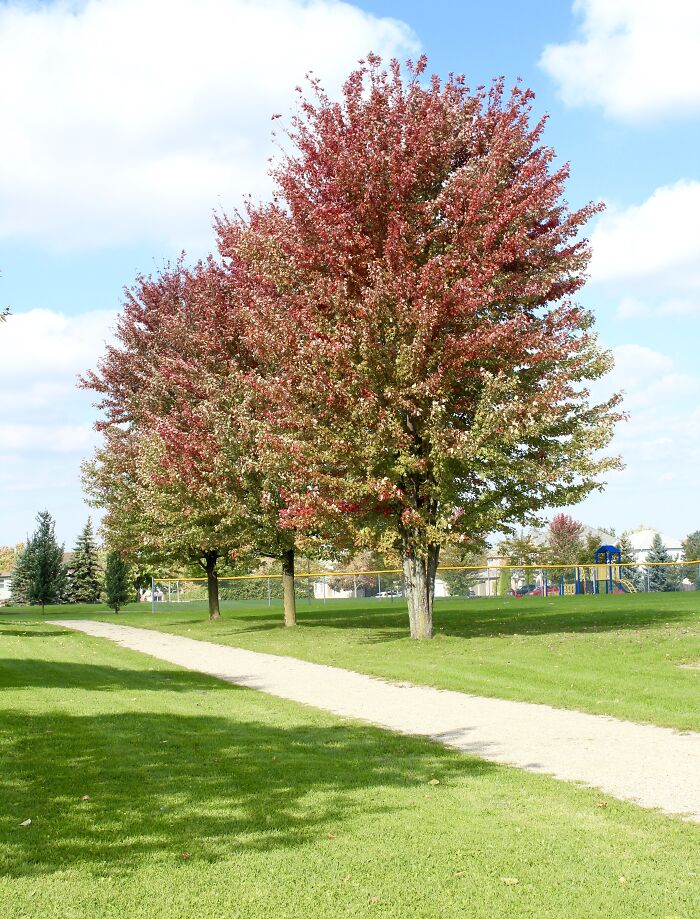 Pictures Of Fall Taken All Around The Waterloo Area (25 Pics) Pictures Of Fall Taken All Around The Waterloo Area (25 Pics)