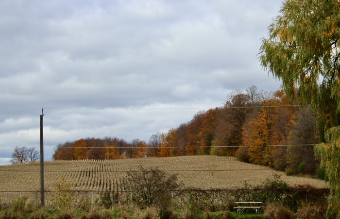 Pictures Of Fall Taken All Around The Waterloo Area (25 Pics) Pictures Of Fall Taken All Around The Waterloo Area (25 Pics)