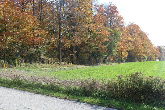 Pictures Of Fall Taken All Around The Waterloo Area (25 Pics) Pictures Of Fall Taken All Around The Waterloo Area (25 Pics)