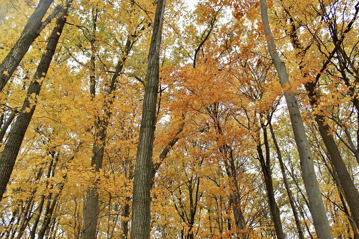 Pictures Of Fall Taken All Around The Waterloo Area (25 Pics) Pictures Of Fall Taken All Around The Waterloo Area (25 Pics)