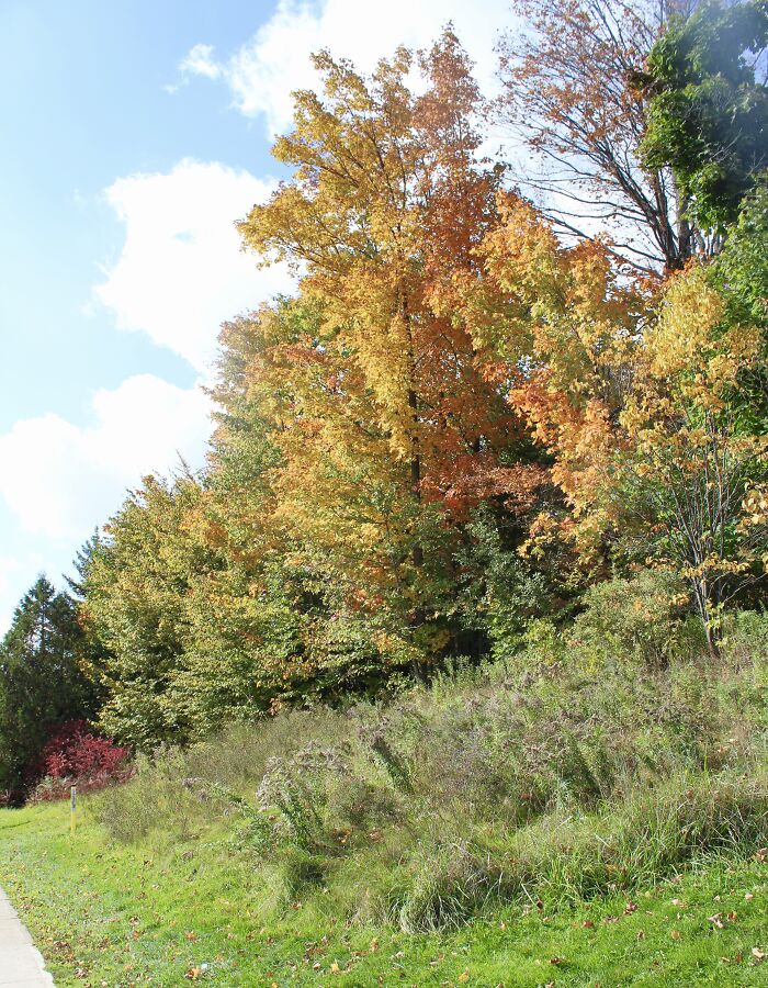 Pictures Of Fall Taken All Around The Waterloo Area (25 Pics) Pictures Of Fall Taken All Around The Waterloo Area (25 Pics)