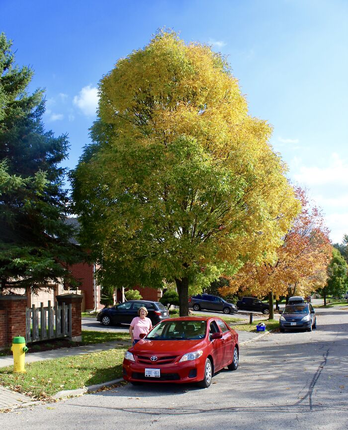 Pictures Of Fall Taken All Around The Waterloo Area (25 Pics) Pictures Of Fall Taken All Around The Waterloo Area (25 Pics)