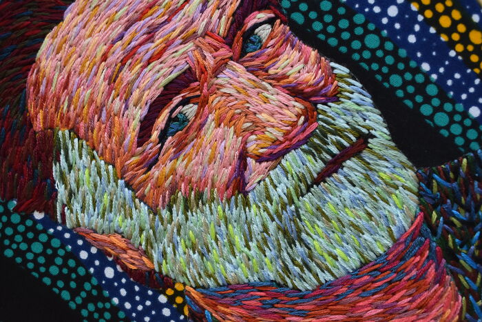 Stitching Stories Of Color (6 Pics)