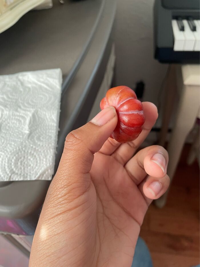 Hey Pandas, Show Us The Weirdest Fruit Or Vegetable You&#8217;ve Ever Seen (Closed)