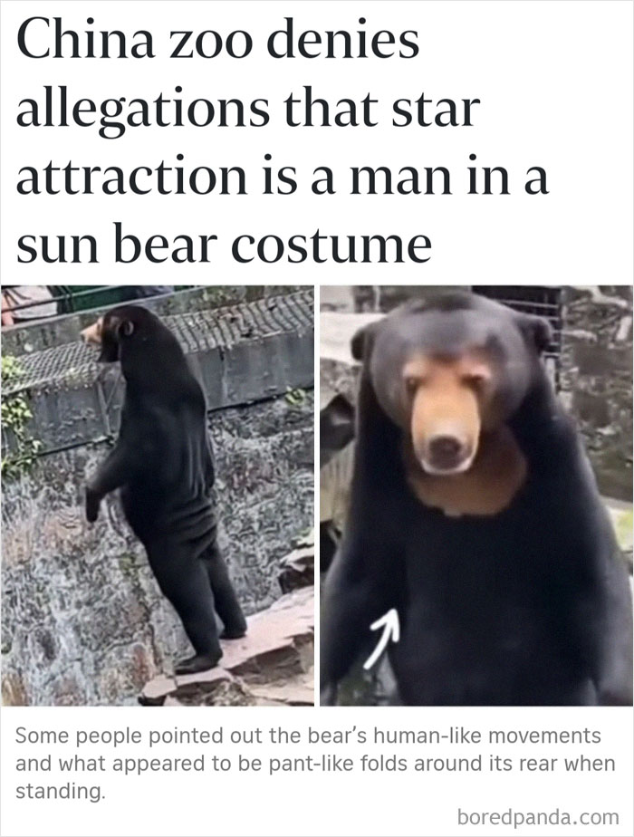 40 Posts To Welcome You Into ‘The Weird Side Of The Internet’ 40 Posts To Welcome You Into ‘The Weird Side Of The Internet’