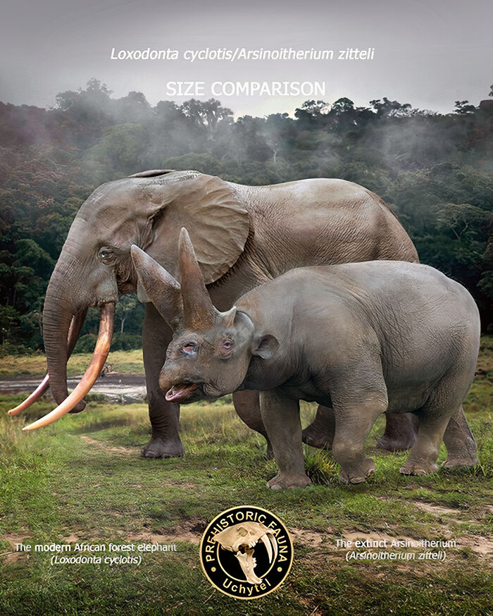 30 New Size Comparisons Of Extinct Species And Their Modern Relatives By Roman Uchytel 30 New Size Comparisons Of Extinct Species And Their Modern Relatives By Roman Uchytel