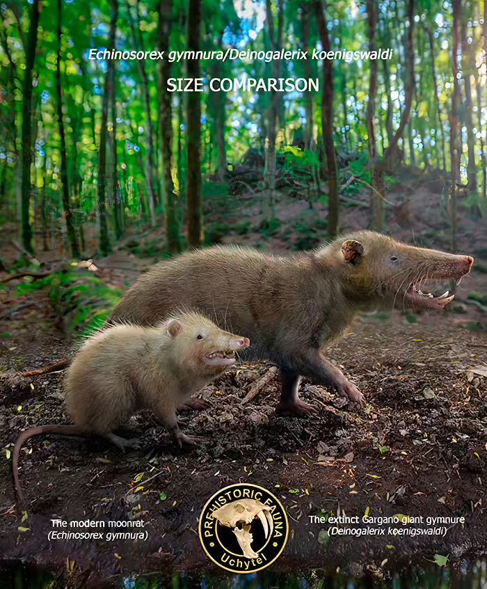 30 New Size Comparisons Of Extinct Species And Their Modern Relatives By Roman Uchytel 30 New Size Comparisons Of Extinct Species And Their Modern Relatives By Roman Uchytel