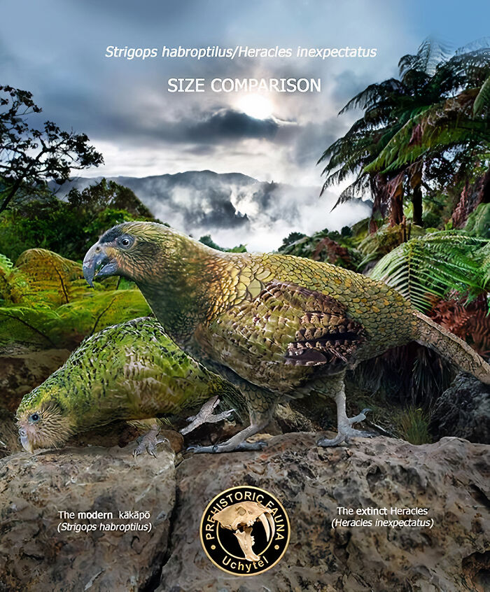 30 New Size Comparisons Of Extinct Species And Their Modern Relatives By Roman Uchytel 30 New Size Comparisons Of Extinct Species And Their Modern Relatives By Roman Uchytel