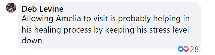 Goose Taps On The Door Of Wildlife Clinic, Demands To See Mate, Stays Through The Surgery