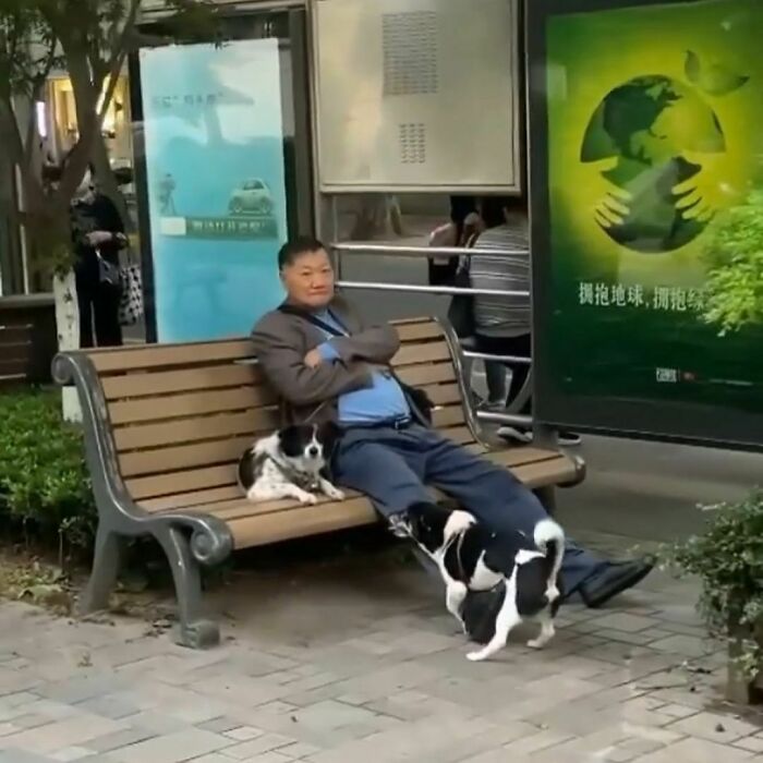 30 Times People Spotted Men Having A Miserable Time While Shopping And Just Had To Take A Pic (New Pics) 30 Times People Spotted Men Having A Miserable Time While Shopping And Just Had To Take A Pic (New Pics)