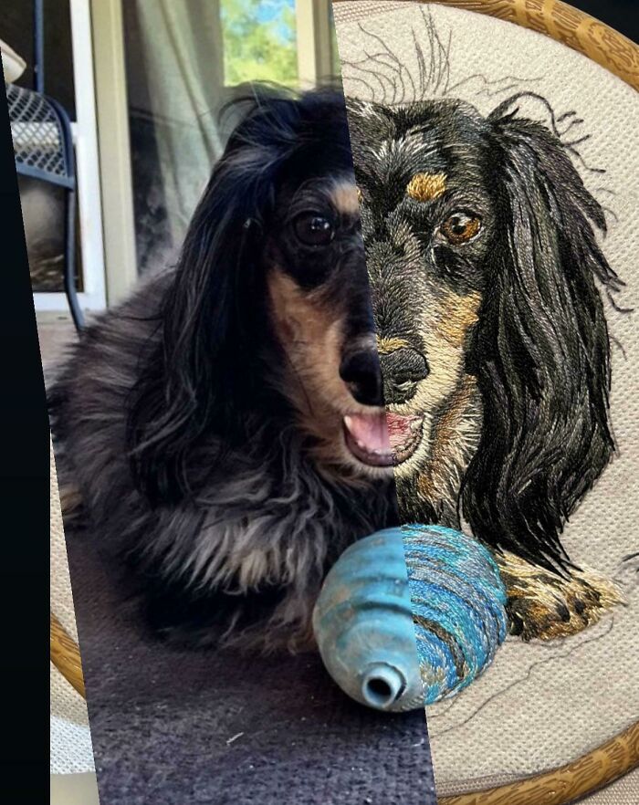 45 Times People Showed Their Creativity And Skill When It Came To Embroidery (New Pics) 45 Times People Showed Their Creativity And Skill When It Came To Embroidery (New Pics)