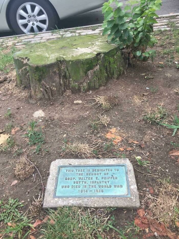 ‘Aged Like Milk:’ 50 Things That Aged So Bad, They Went Sour (New Posts) ‘Aged Like Milk:’ 50 Things That Aged So Bad, They Went Sour (New Posts)