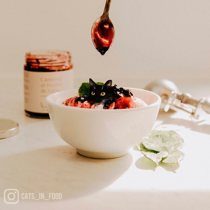 80 Weirdly Delicious Images Of Cats Photoshopped Into Food By This Artist (New Pics) 80 Weirdly Delicious Images Of Cats Photoshopped Into Food By This Artist (New Pics)