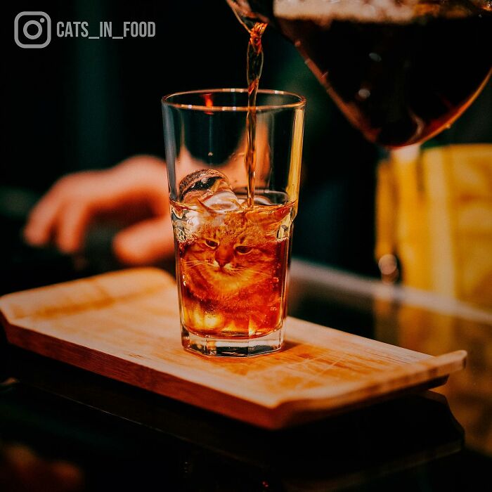 80 Weirdly Delicious Images Of Cats Photoshopped Into Food By This Artist (New Pics) 80 Weirdly Delicious Images Of Cats Photoshopped Into Food By This Artist (New Pics)