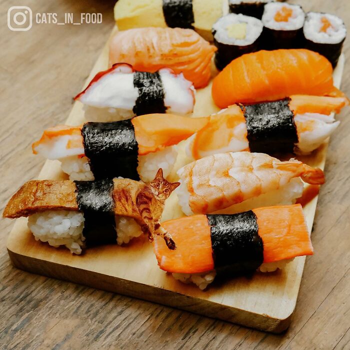 80 Weirdly Delicious Images Of Cats Photoshopped Into Food By This Artist (New Pics) 80 Weirdly Delicious Images Of Cats Photoshopped Into Food By This Artist (New Pics)