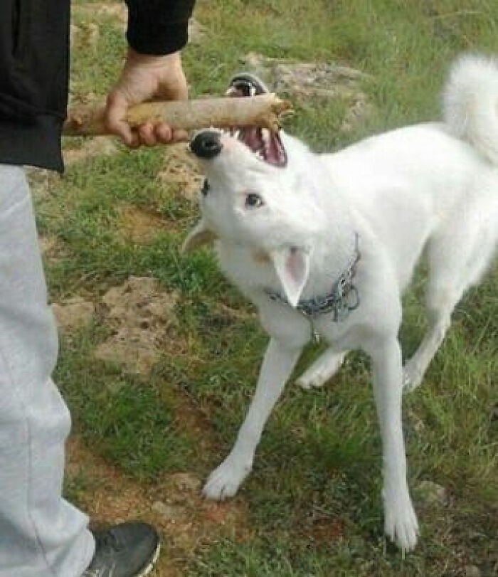 45 ‘Cursed Images’ That Might Make You Facepalm Or Laugh, As Shared On This Facebook Page 45 ‘Cursed Images’ That Might Make You Facepalm Or Laugh, As Shared On This Facebook Page