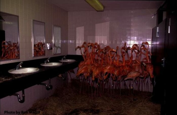 45 ‘Cursed Images’ That Might Make You Facepalm Or Laugh, As Shared On This Facebook Page 45 ‘Cursed Images’ That Might Make You Facepalm Or Laugh, As Shared On This Facebook Page