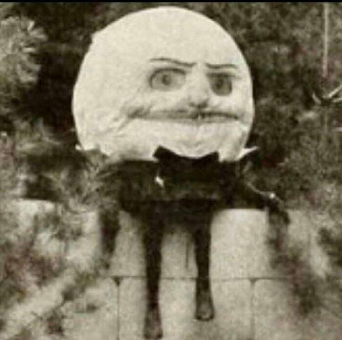 45 ‘Cursed Images’ That Might Make You Facepalm Or Laugh, As Shared On This Facebook Page 45 ‘Cursed Images’ That Might Make You Facepalm Or Laugh, As Shared On This Facebook Page