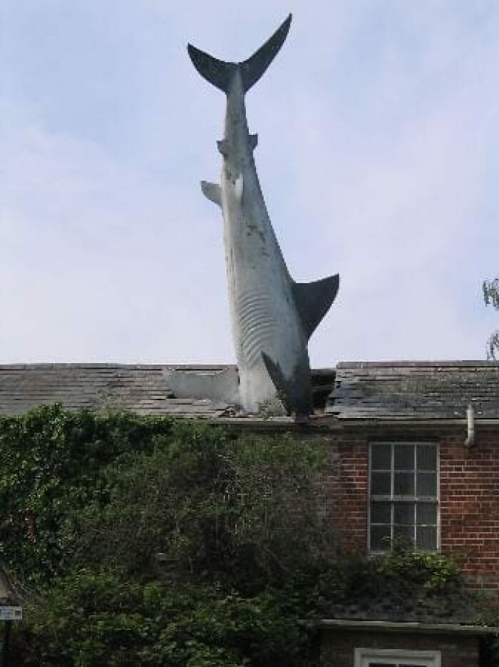 45 ‘Cursed Images’ That Might Make You Facepalm Or Laugh, As Shared On This Facebook Page 45 ‘Cursed Images’ That Might Make You Facepalm Or Laugh, As Shared On This Facebook Page