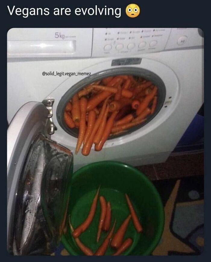 45 ‘Cursed Images’ That Might Make You Facepalm Or Laugh, As Shared On This Facebook Page 45 ‘Cursed Images’ That Might Make You Facepalm Or Laugh, As Shared On This Facebook Page