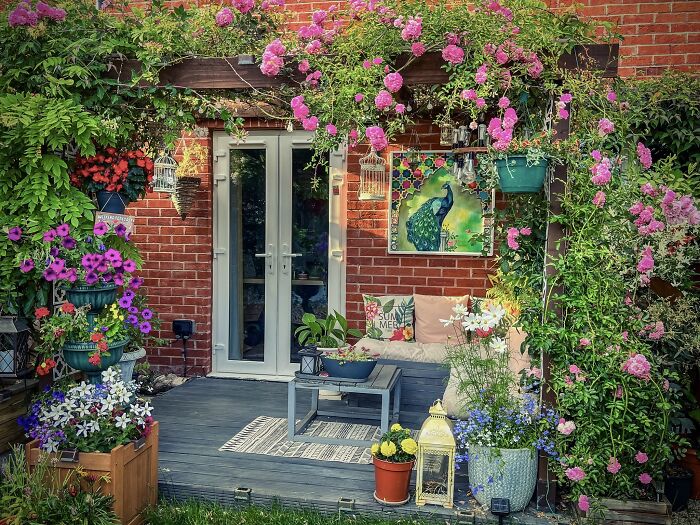 I Transformed My New Build Garden: A Journey Of Creativity And Growth (9 Pics) I Transformed My New Build Garden: A Journey Of Creativity And Growth (9 Pics)