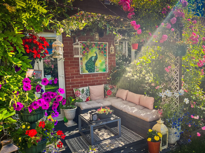 I Transformed My New Build Garden: A Journey Of Creativity And Growth (9 Pics) I Transformed My New Build Garden: A Journey Of Creativity And Growth (9 Pics)