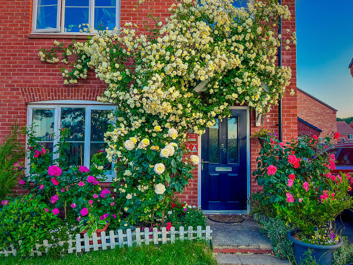 I Transformed My New Build Garden: A Journey Of Creativity And Growth (9 Pics) I Transformed My New Build Garden: A Journey Of Creativity And Growth (9 Pics)