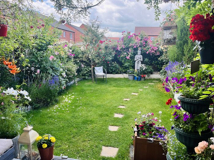 I Transformed My New Build Garden: A Journey Of Creativity And Growth (9 Pics) I Transformed My New Build Garden: A Journey Of Creativity And Growth (9 Pics)