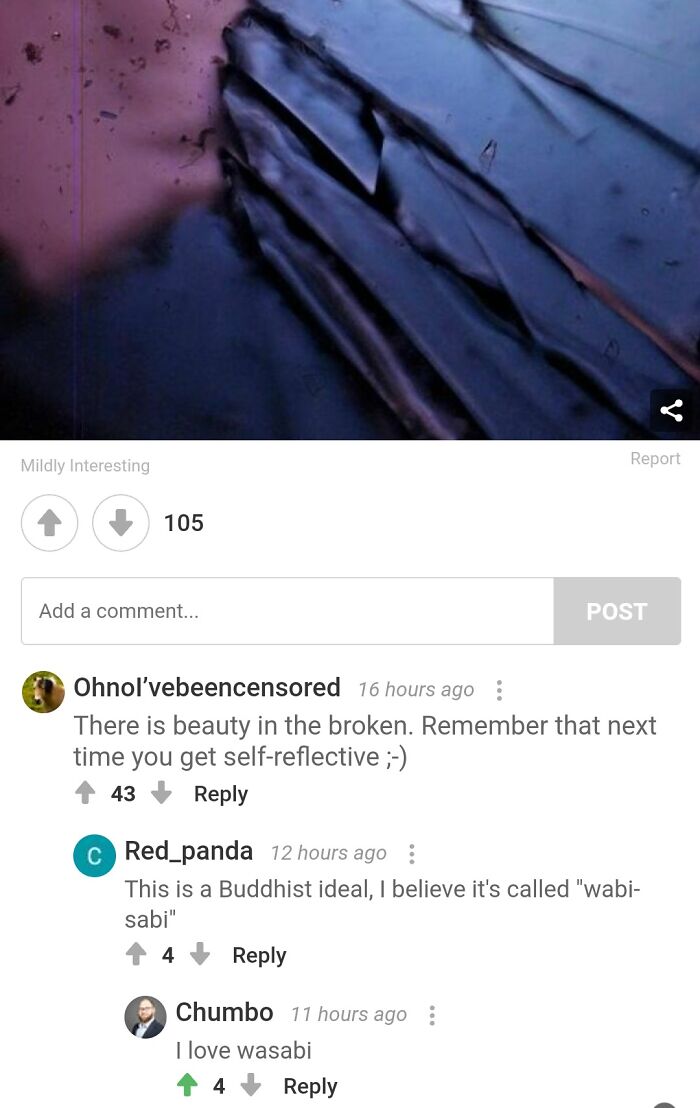 Hey Pandas, Post Screenshots Of Bored Panda Comments You Thought Were Hilarious (Closed)