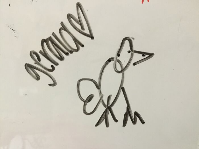 Hey Pandas, Draw An Animal But With Your Eyes Closed And Post The Results (Closed)