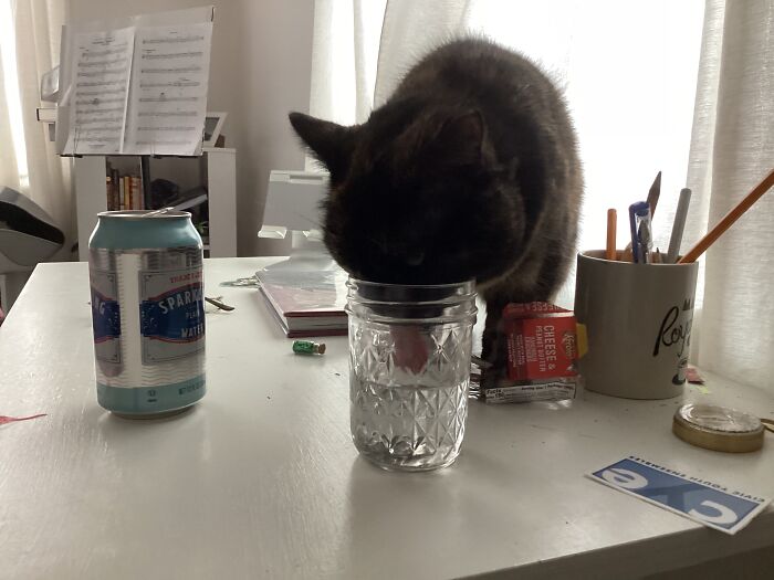 Hey Pandas, Post A Funny Picture Of Your Pet (Closed) Hey Pandas, Post A Funny Picture Of Your Pet (Closed)