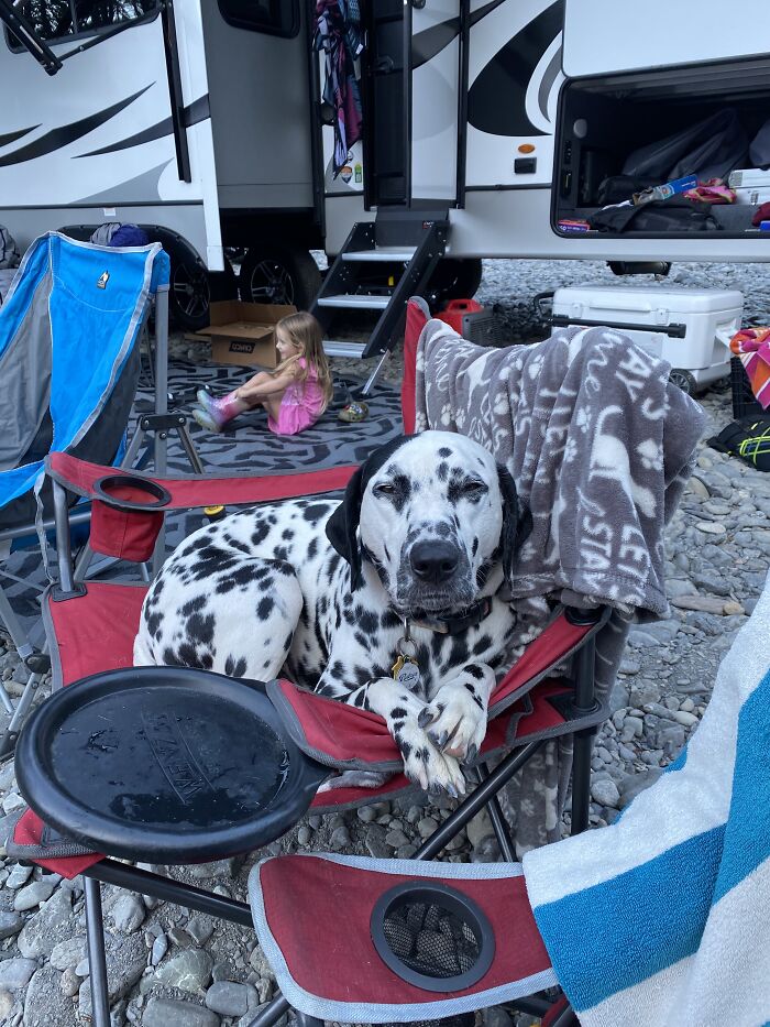 Hey Pandas, Post A Funny Picture Of Your Pet (Closed) Hey Pandas, Post A Funny Picture Of Your Pet (Closed)