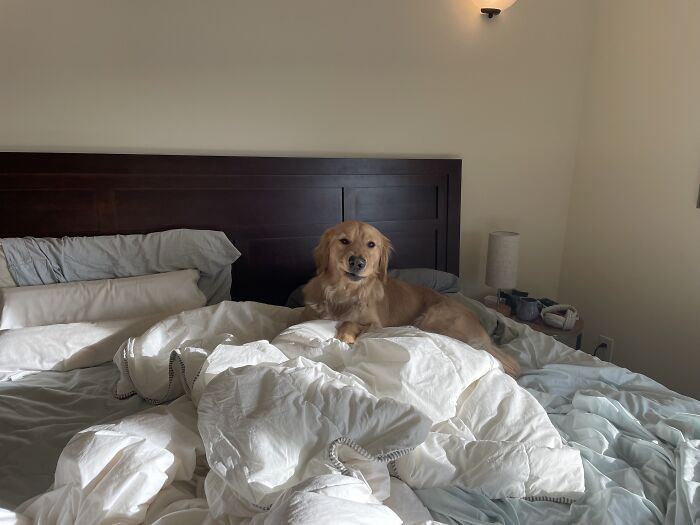 Hey Pandas, Post A Funny Picture Of Your Pet (Closed) Hey Pandas, Post A Funny Picture Of Your Pet (Closed)