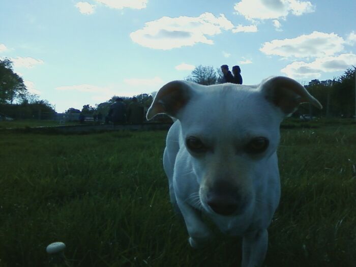 Hey Pandas, Post A Funny Picture Of Your Pet (Closed) Hey Pandas, Post A Funny Picture Of Your Pet (Closed)