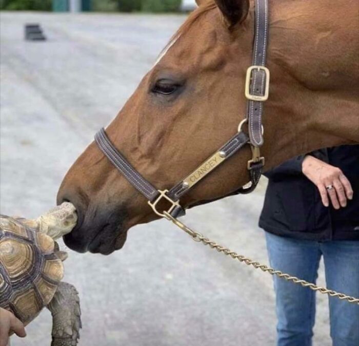 30 Pics That Are Supposed To Be Mildly Uncomfortable But Some Of Them Are Just Too Much 30 Pics That Are Supposed To Be Mildly Uncomfortable But Some Of Them Are Just Too Much