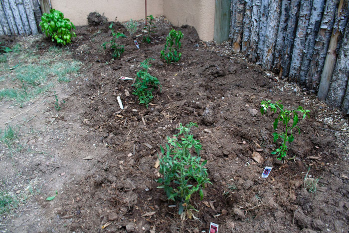 Neighbor Ruins Kid’s Botany Project Over And Over As Parents Keep Putting It In Her Parking Spot Neighbor Ruins Kid’s Botany Project Over And Over As Parents Keep Putting It In Her Parking Spot